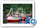 Fishguard 2010 002