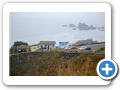 Lizard Point 2010 002