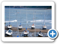 New Quay 2010 001