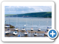 New Quay 2010 002