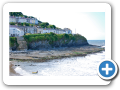 New Quay 2010 004