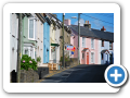 New Quay 2010 021
