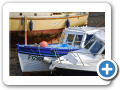 Polperro 2010 016