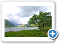Snowdonia Park 2010 006