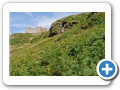 Tintagel 2010 010