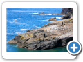 Tintagel 2010 013