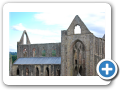 Tintern Abbey 2010 001
