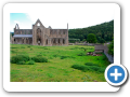 Tintern Abbey 2010 003
