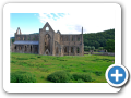 Tintern Abbey 2010 006