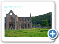 Tintern Abbey 2010 007