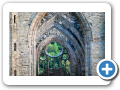 Tintern Abbey 2010 008