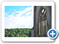 Tintern Abbey 2010 012