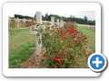 Verdun 2010 004