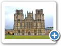 Wells 2010 001