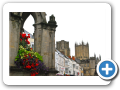 Wells 2010 028