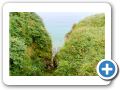 Carrick a Rede 2009 6