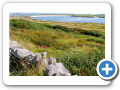 Clifden 2009 17