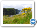 Cliff s of Moher 2009 24