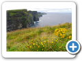 Cliff s of Moher 2009 26