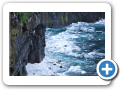 Cliff s of Moher 2009 3