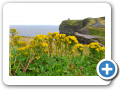 Cliff s of Moher 2009 7