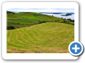 Kylemore 2009 4