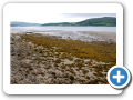 Rathmullan 2009 8