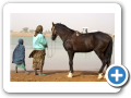 Djenne 2008 10