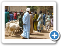 Djenne 2008 39