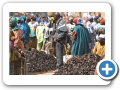 Djenne 2008 42