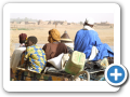 Djenne 2008 50