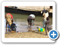 Il fiume Niger 2008 12