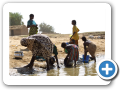 Il fiume Niger 2008 47