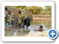 Il fiume Niger 2008 86