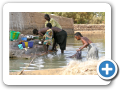 Il fiume Niger 2008 87