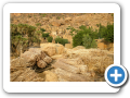 Il mondo Dogon 2008 140