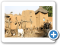 Il mondo Dogon 2008 156