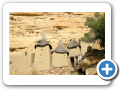 Il mondo Dogon 2008 167