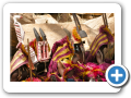 Il mondo Dogon 2008 202