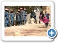 Il mondo Dogon 2008 204