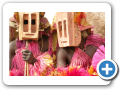 Il mondo Dogon 2008 208