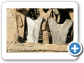 Il mondo Dogon 2008 212