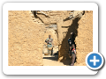 Il mondo Dogon 2008 227
