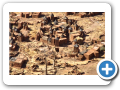 Il mondo Dogon 2008 3