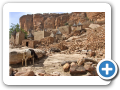 Il mondo Dogon 2008 60