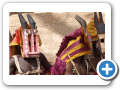 Il mondo Dogon 2008 75