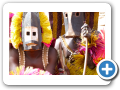 Il mondo Dogon 2008 90
