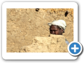 Il mondo Dogon 2008 96