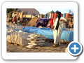 Mopti 2008 13