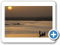Mopti 2008 20